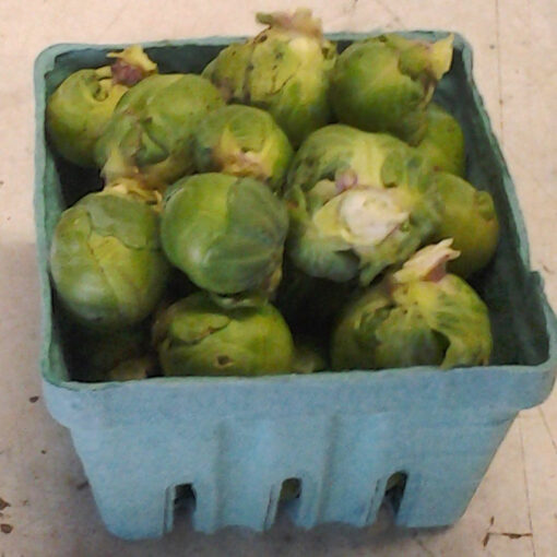 Brussel Sprouts