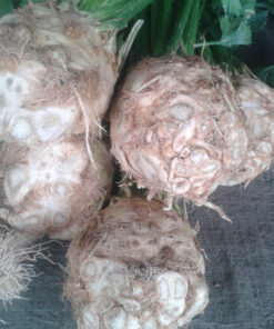 Celeriac