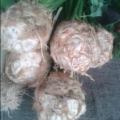 Celeriac