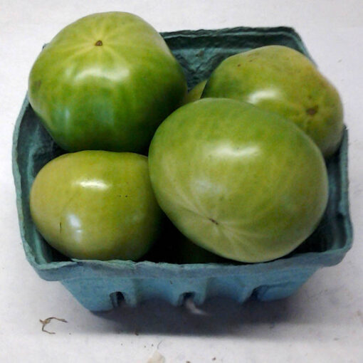 green_tomatoes