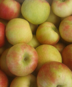 Cortland Apples (Local - Not Organic)