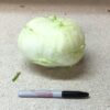 large-kohlrabi