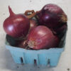 Red Onions