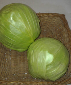 green_cabbage