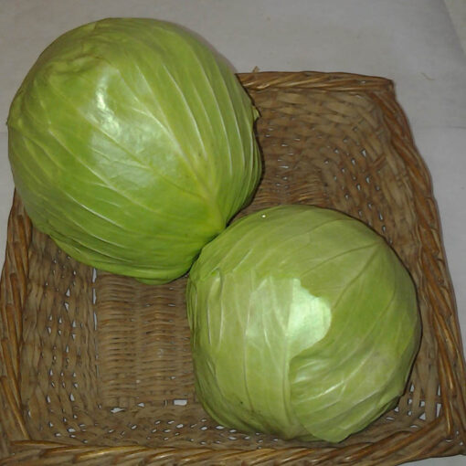 green_cabbage