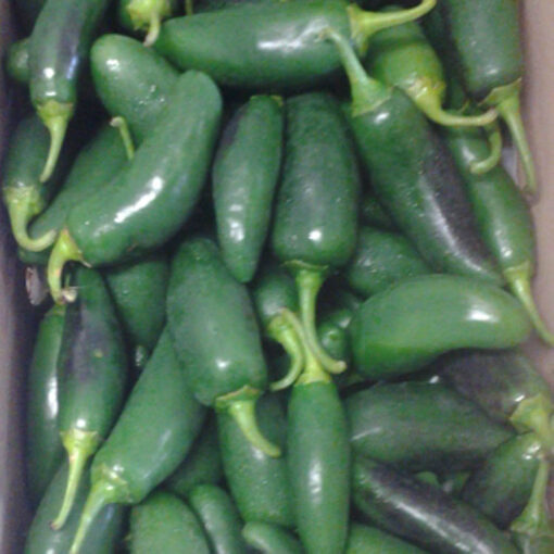 Jalapeno