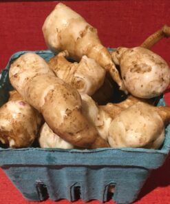 jerusalem artichokes