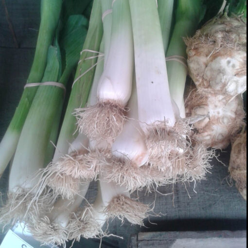 Leeks