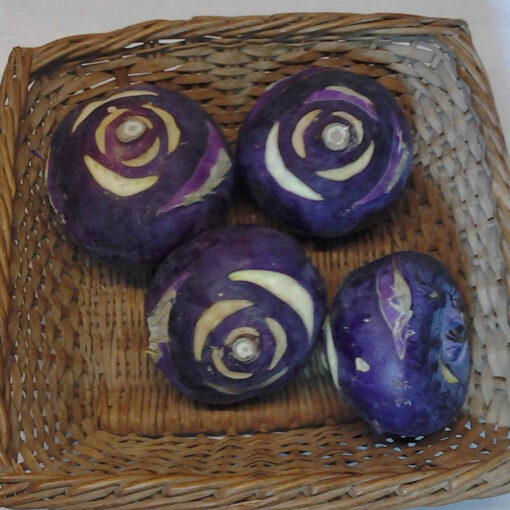 purple_kohlrabi