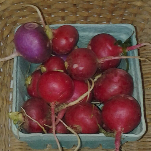 radishes