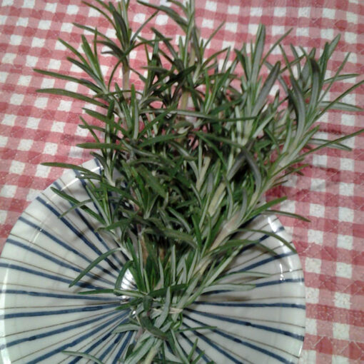 rosemary