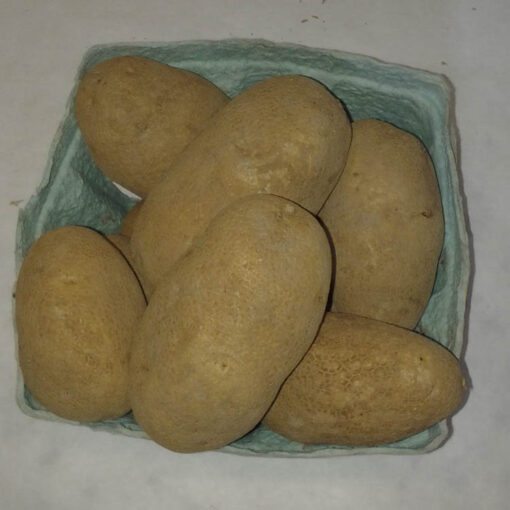 russet_potatoes