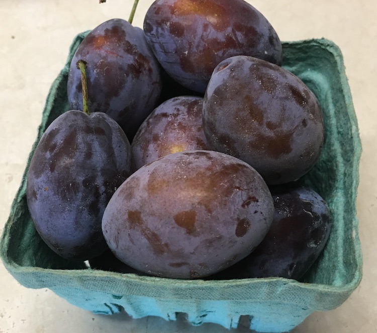 Farm Fresh Stanley Plums - Bulk Natural Foods