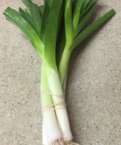 Baby Leeks