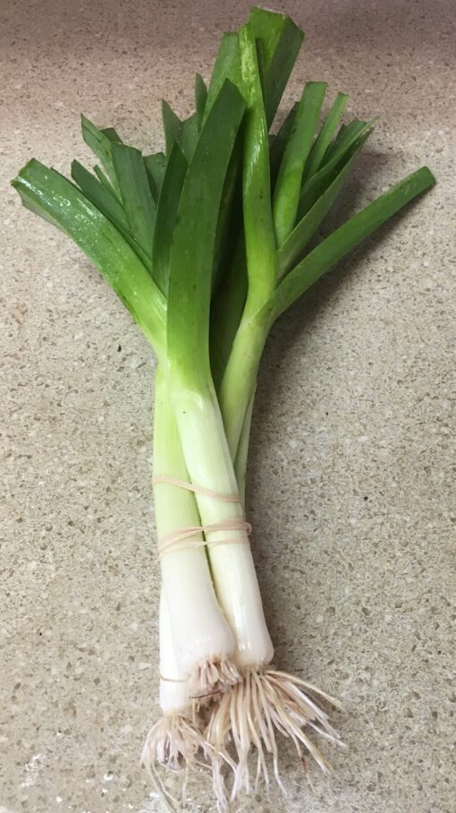 Baby Leeks