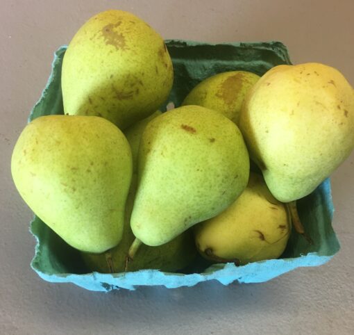 Bartlett Pears