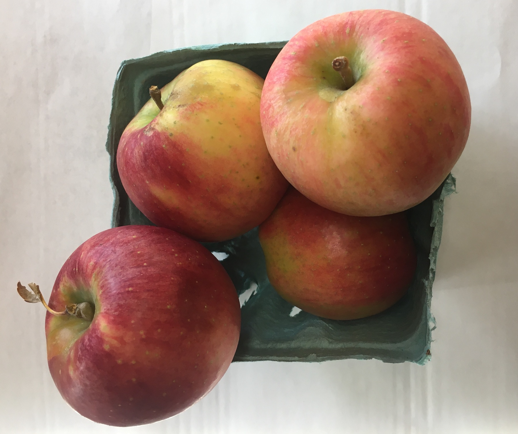 Gala Apples (Local - Not Organic)