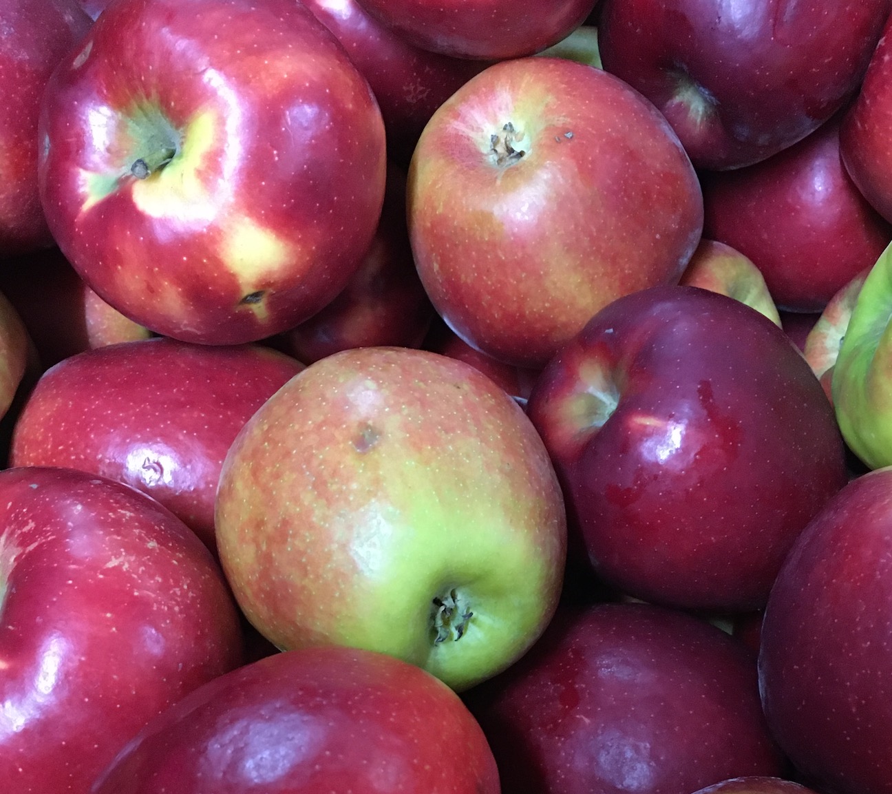 Organic Cortland Apples