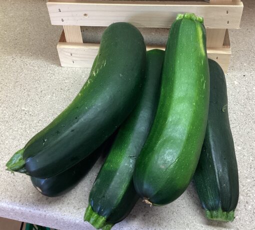 Large zucchini