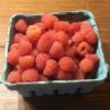 pink-raspberries